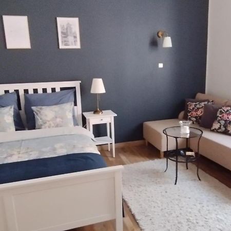 Dominique Apartment 克拉科夫 外观 照片