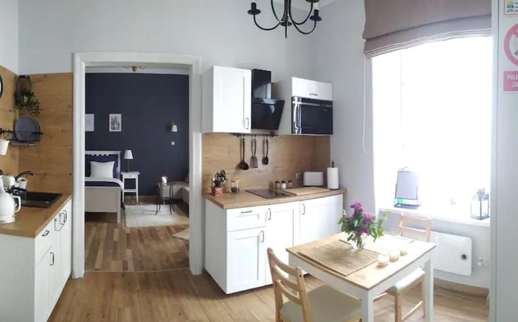 Dominique Apartment 克拉科夫 外观 照片