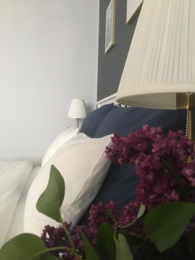 Dominique Apartment 克拉科夫 外观 照片