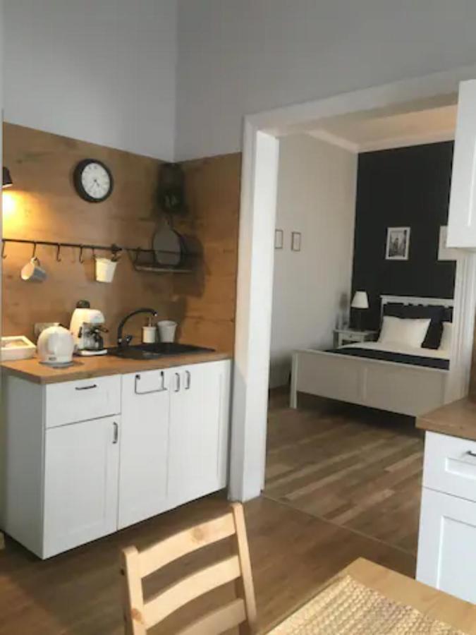 Dominique Apartment 克拉科夫 外观 照片