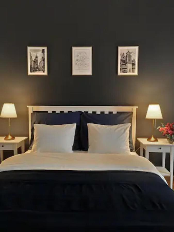 Dominique Apartment 克拉科夫 外观 照片