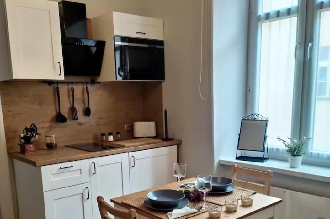 Dominique Apartment 克拉科夫 外观 照片