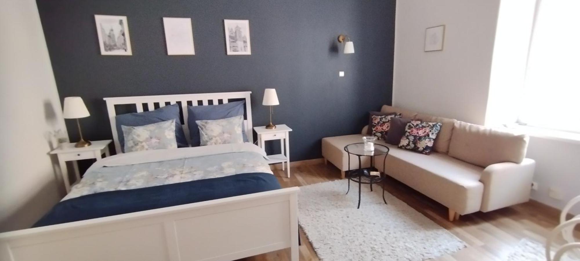 Dominique Apartment 克拉科夫 外观 照片